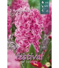 3 Jacinthes Pink Pearl - Rose