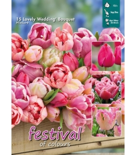 Lovely Wedding - 15 bulbes de Tulipes en M&eacute;lange