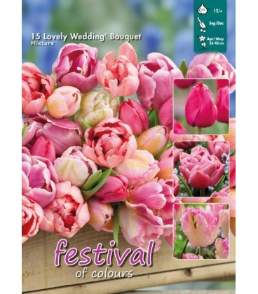 Lovely Wedding - 15 bulbes de Tulipes en M&eacute;lange