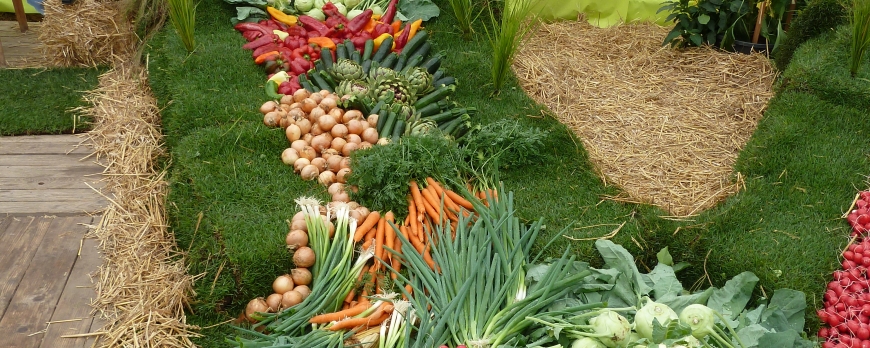 Les différentes méthodes de conservation des fruits et légumes