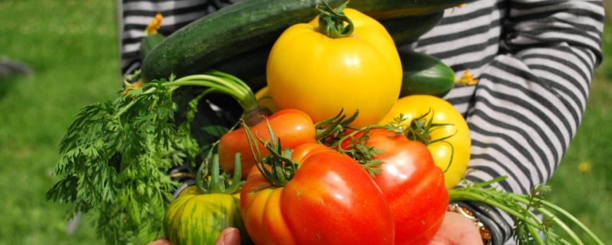 Quels sont les différents types de légumes