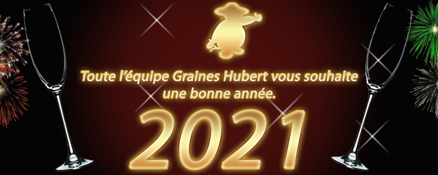 Voeux 2021