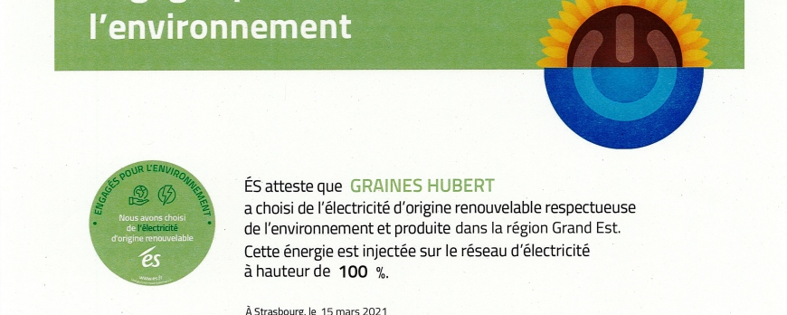 Energie verte