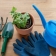 Quels sont les outils de jardin d’intérieur ?