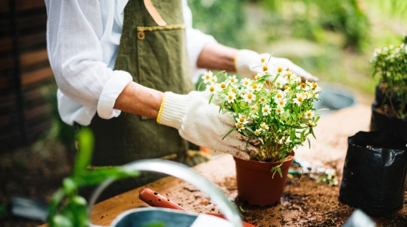 Comment planter des fleurs ?