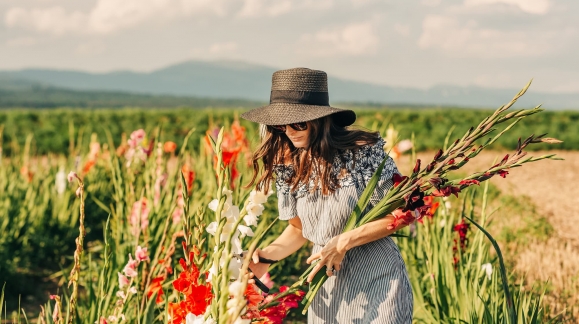 Comment préparer les glaïeuls pour une floraison abondante en été ?