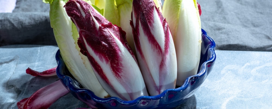 Quel est le meilleur moment pour commencer le forçage des endives ?