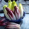 Quel est le meilleur moment pour commencer le forçage des endives ?