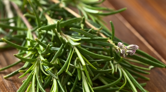 Comment cultiver des herbes aromatiques en intérieur cet hiver ?