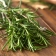 Comment cultiver des herbes aromatiques en intérieur cet hiver ?